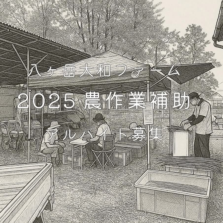 大和ファームにて農作業補助をお手伝い頂けるアルバイトを募集いたします。 勤務期間
2025年6月20日以降要相談 勤務時間
9:00~16:00(内休憩1時間) 勤務場所
北杜市大泉町谷戸5047-1 その他大和ファーム圃場 賃 金
時給990円(能力により昇給あり) 手 当
通勤手当あり 作業内容
農作業補助 給与形態
アルバイト 勤務日数
週3日~ 募集人数
2~5名 求める人物像
大和ファームの理念に共感してくれる方
明るく誠実で素直な方
ポジティブで向上心、探求心のある方
植物が好きな方
自給自足に興味のある方
一緒に大和ファームを盛り上げてくれる方
ただの作業ではなく愛をもって仕事に取り組める方
男女不問 詳しくは以下より https://yamato-farm.com/recruit/2025recruit.php