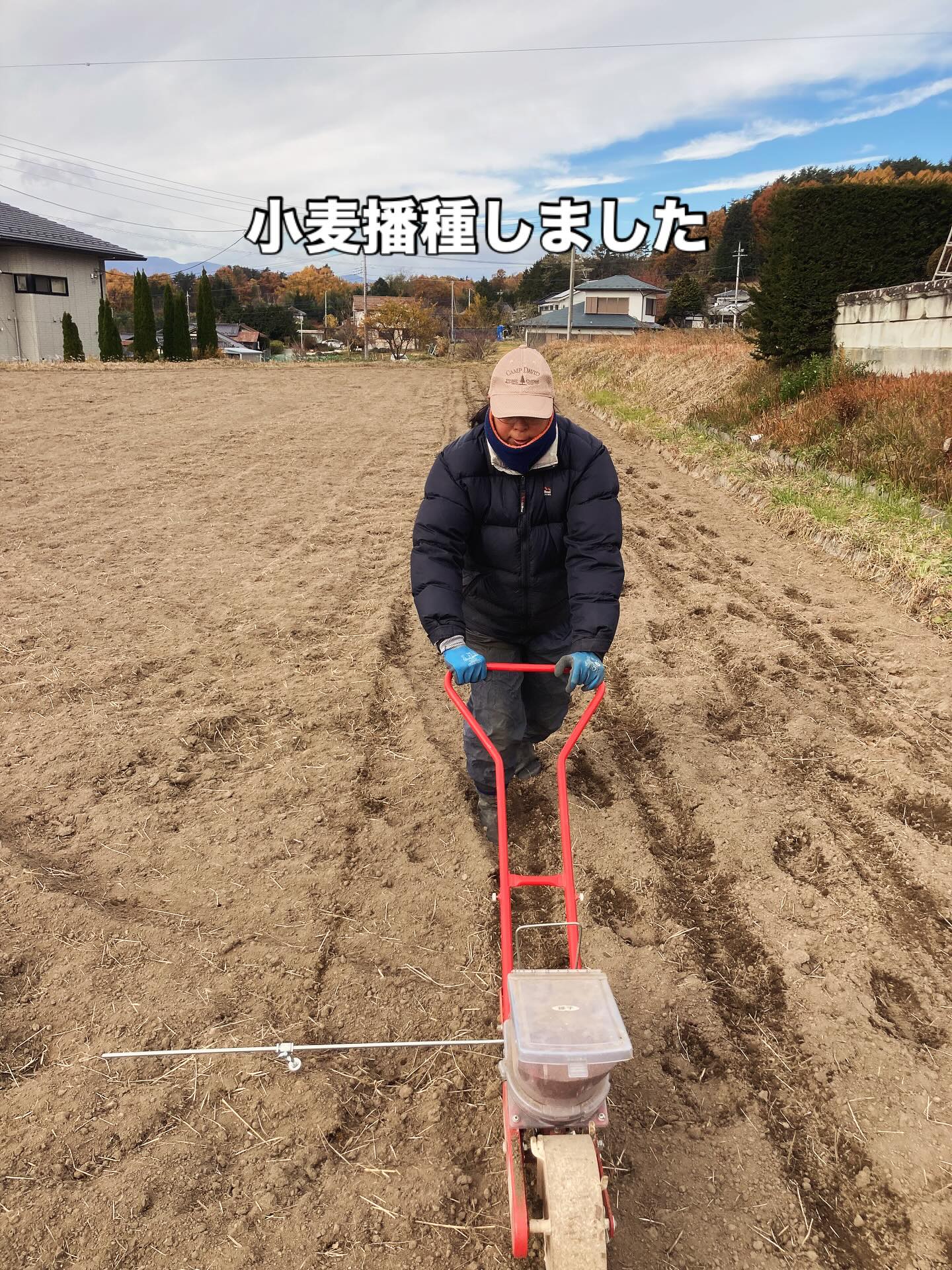 目まぐるしい日々の中  小麦播種完了  大豆の収穫も完了  田んぼの耕運もほぼ完了  11月はホントに忙しい  農作業が忙しい中で
小学校の大豆教室に、醤油作りプロジェクト、しめ縄作りWS
娘のバスケ試合、ピアノとバレエの発表会などなど
イベントが目白押し。  土日もほぼ無休  そんな中
お米のご注文沢山頂きありがとうございます。
ようやく発送が落ち着いてきました。  と思ったら昨日からプリンターが壊れて納品書など印刷ができず...
すぐ購入しましたが届くのが金曜日  発送は金曜日以降となります。
申し訳ございません。  今日はあらたなメンバーを面接し、作業後夕方に甲府に行き在庫切れの玄米麺と米粉を製造委託もしてきました。  ゆっくりできる日を夢見て
今日は早めに寝ます笑  #自然栽培
#借金なし大豆
#小麦種まき