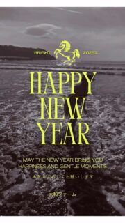 2026明けました 猛犬注意と書かれていた犬と仲良くなり、お手してもらいました 本年も宜しくお願いします!