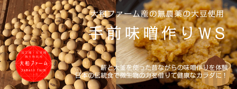 続きまして「味噌作りWS」の開催日時等です～