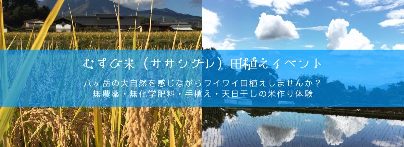 2017年田植えイベント開催日決定