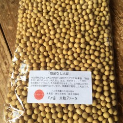 大豆販売開始しました！