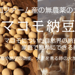 マコモ納豆作りWS情報やっと公開しました！