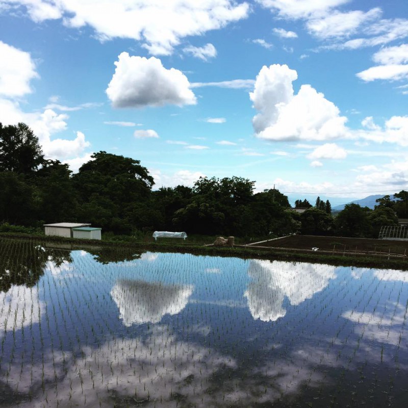 大和ファーム紹介動画を作ってみました～