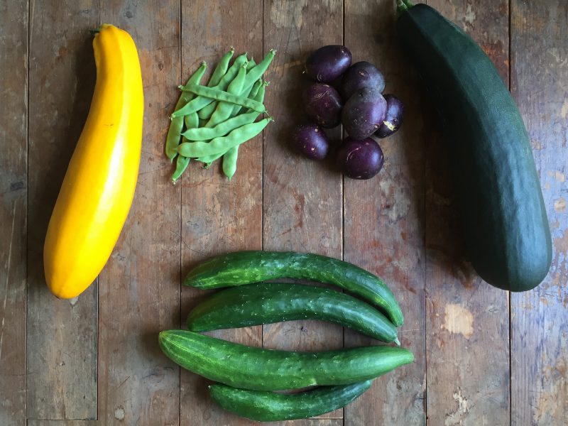 旬の野菜セット販売開始しました～