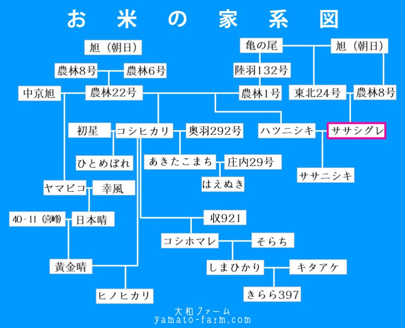 お米アレルギーについて