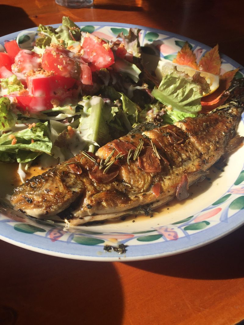 北杜市おススメスポット「自然屋」