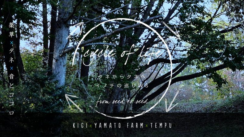 「CYCLE OF LIFE」薬草を種から育て自分を癒す連続講座