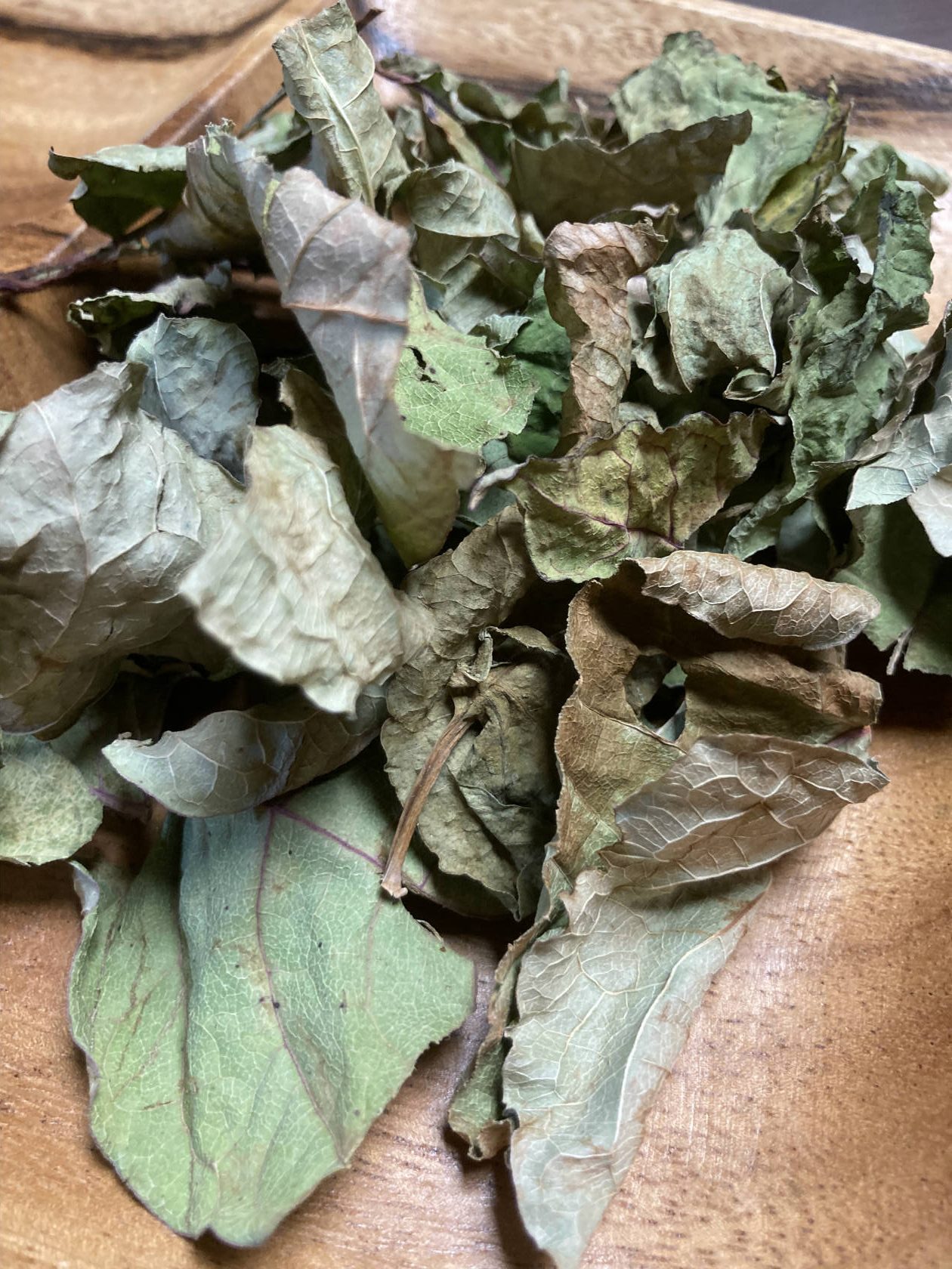 新商品「イタドリ茶」販売開始しました！