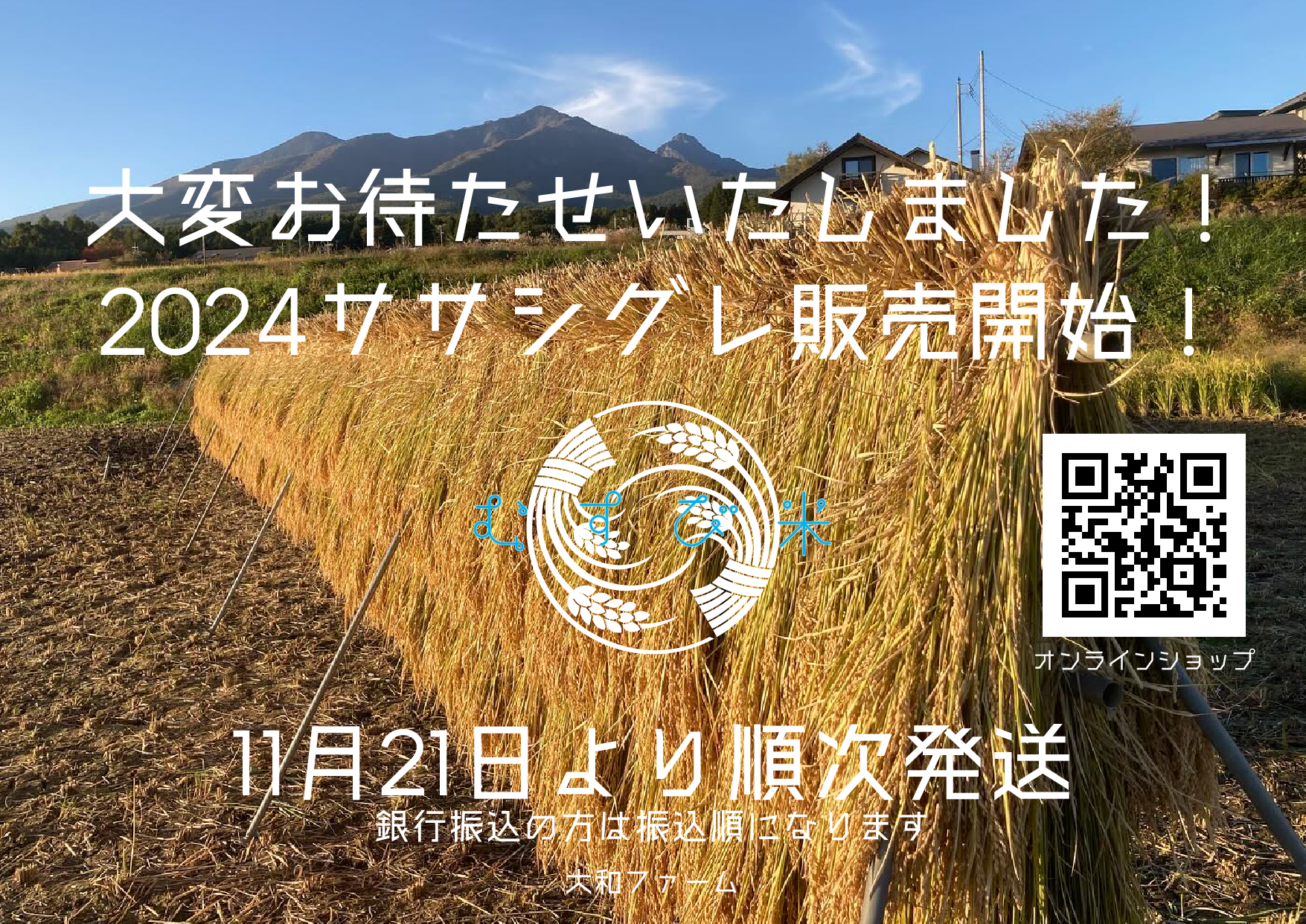 2024自然栽培ササシグレ新米販売開始